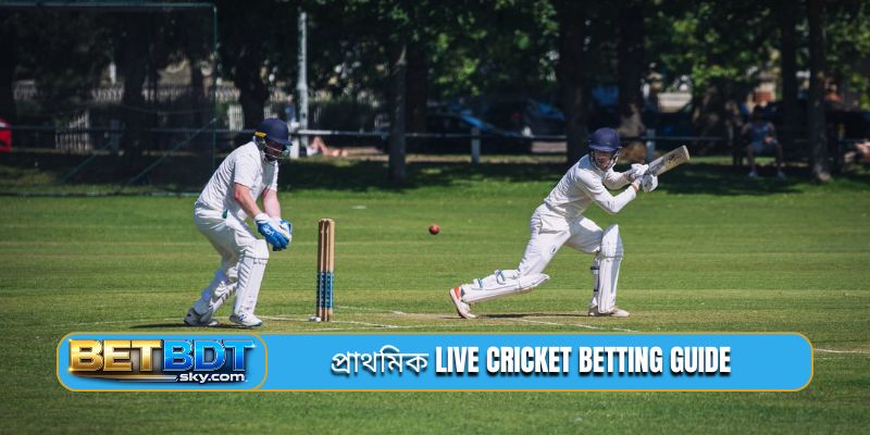 প্রাথমিক live cricket betting guide