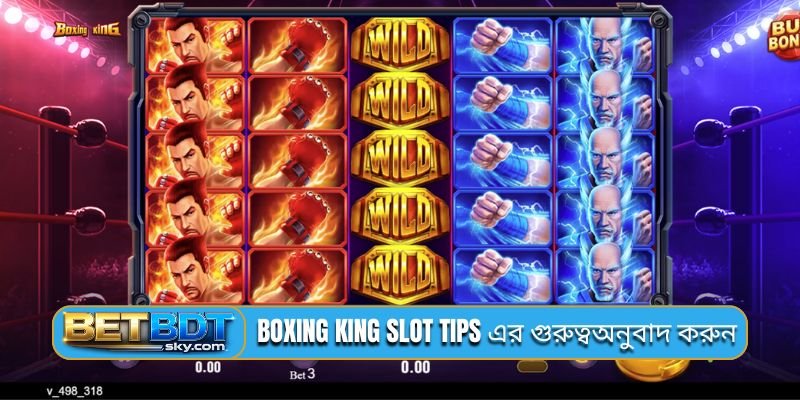 Boxing King Slot tips এর গুরুত্বঅনুবাদ করুন