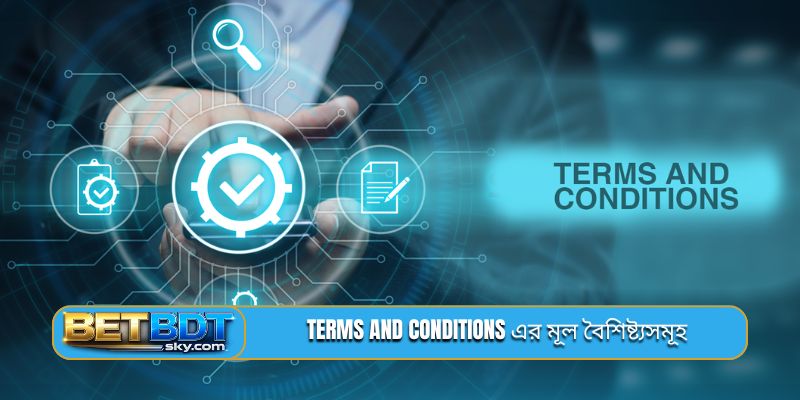 Terms and conditions এর মূল বৈশিষ্ট্যসমূহ